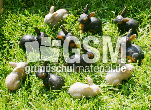 Kaninchen-4+7.jpg